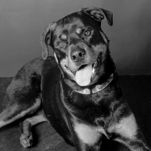 Fundraising Page: Sofie Adler